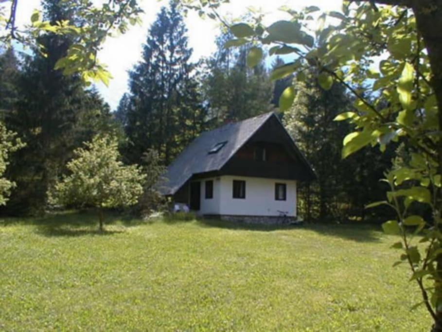 Apartment Lake Bohinj No. 5 Zewnętrze zdjęcie