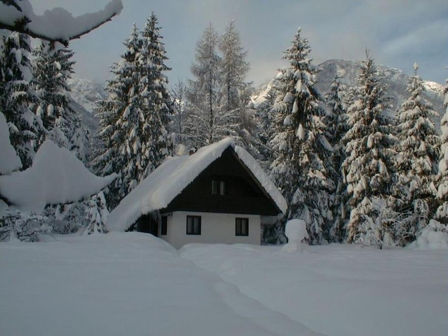 Apartment Lake Bohinj No. 5 Zewnętrze zdjęcie