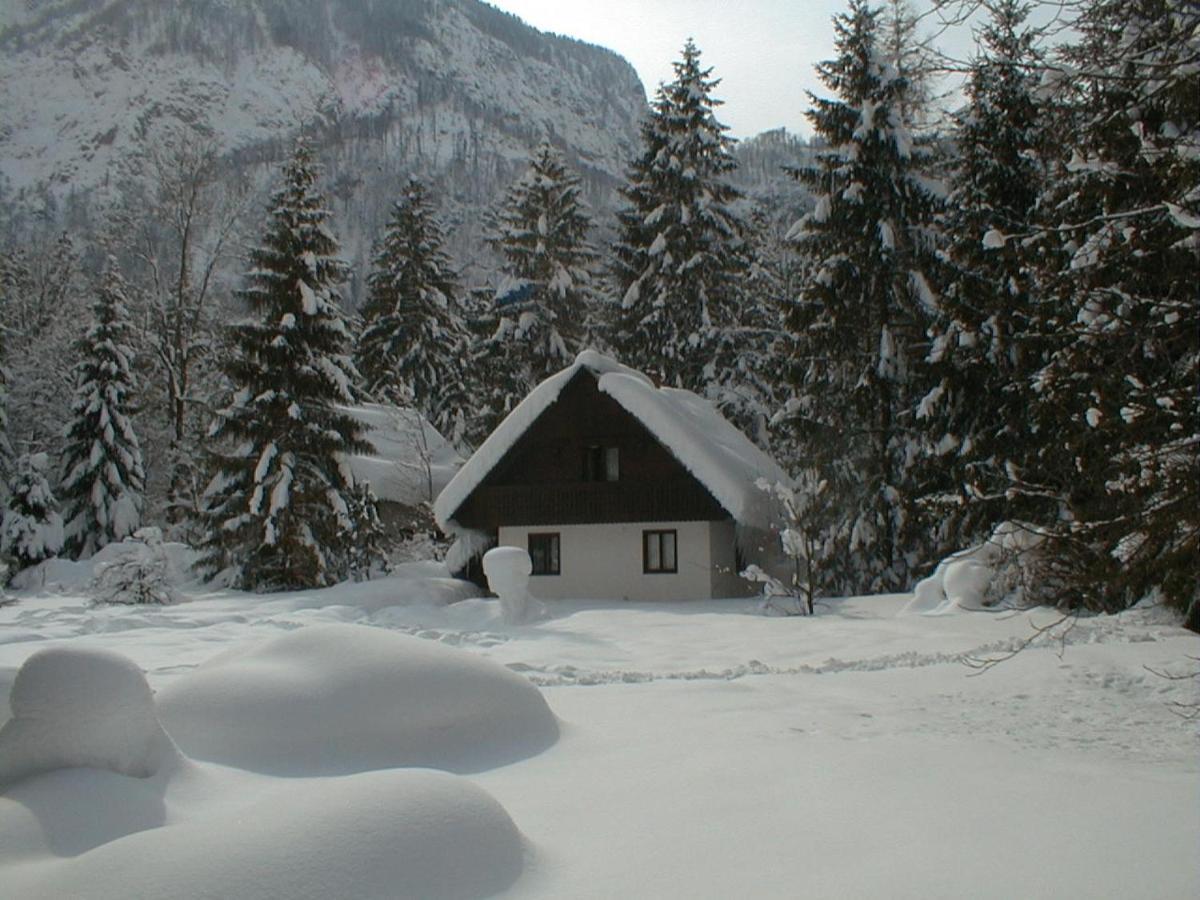 Apartment Lake Bohinj No. 5 Zewnętrze zdjęcie
