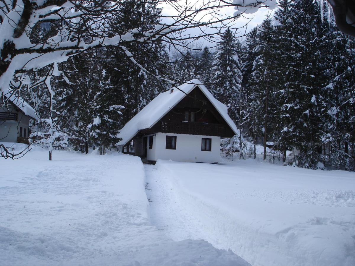 Apartment Lake Bohinj No. 5 Zewnętrze zdjęcie